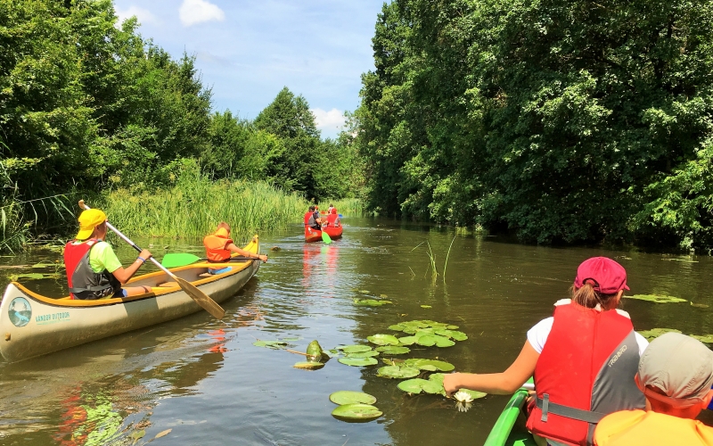 Osztálykirándulások a Túron